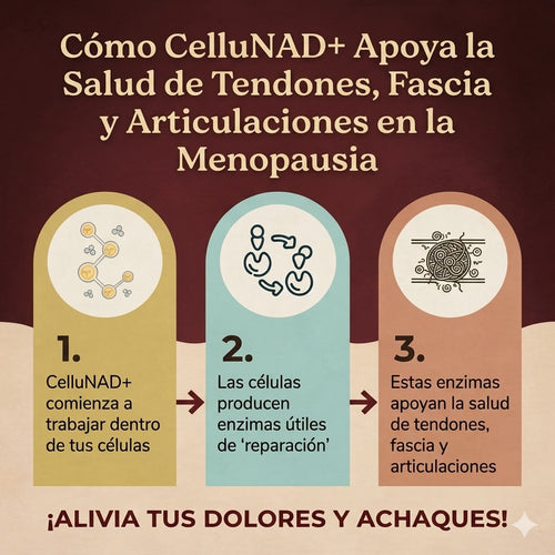 Prueba 1