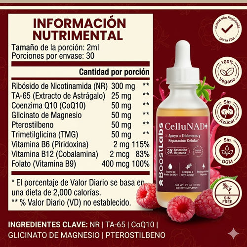 Prueba 1