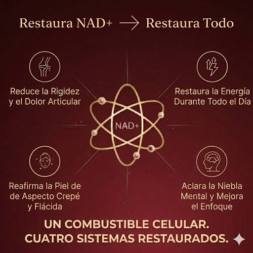 Prueba 1