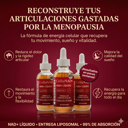 Prueba 1
