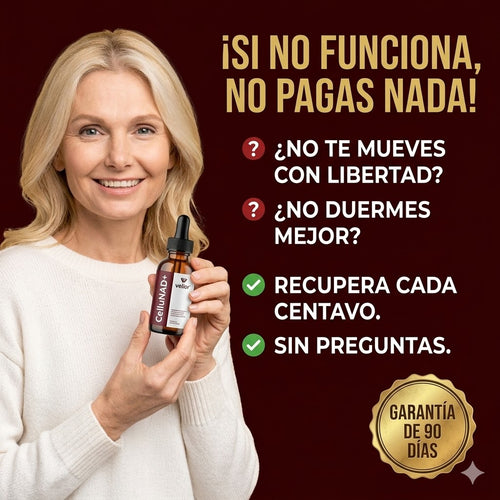 Prueba 1